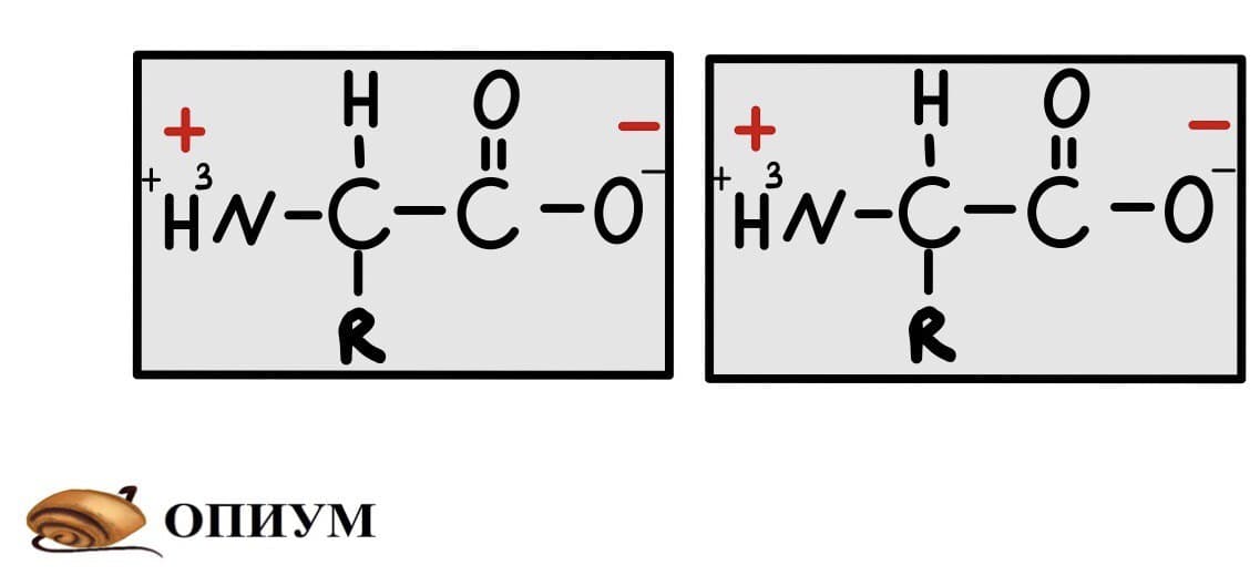O 3 связь. Ионная связь комикс. Ионная связь в аминокислотах. Образование химической связи ионная комиксы. Ионная связь электроотрицательность.