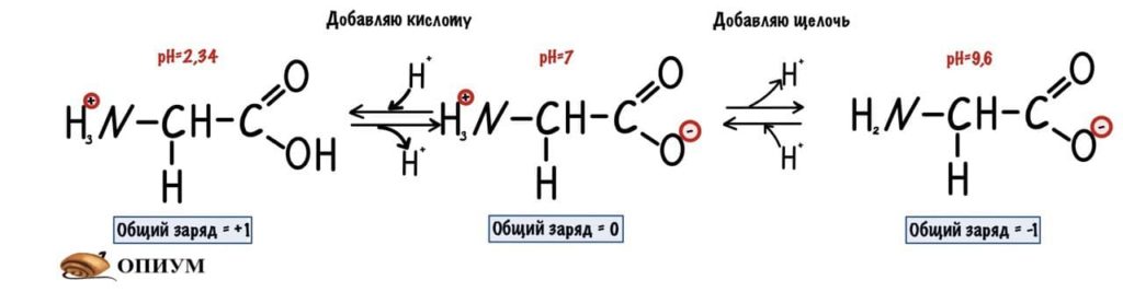 Заряд молекулы глицина 