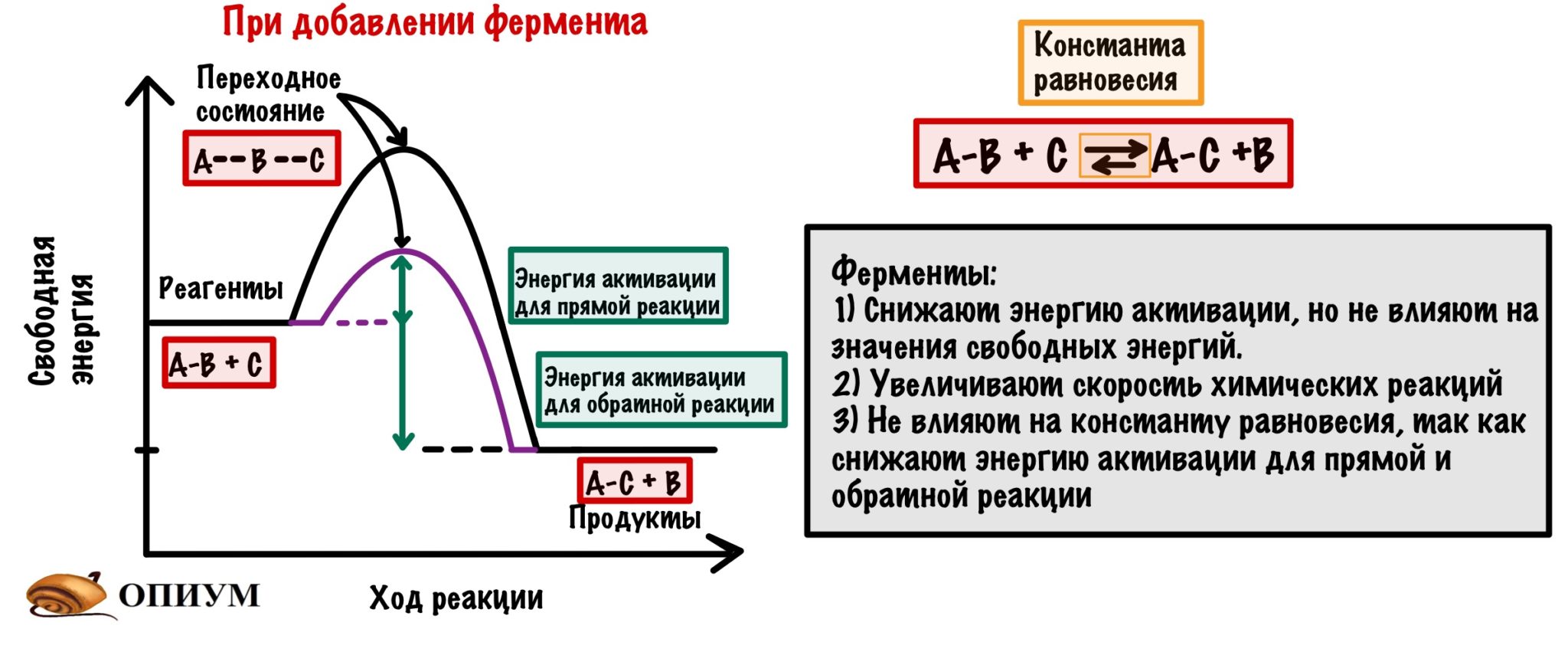 Ферменты горячая схема осахаривания