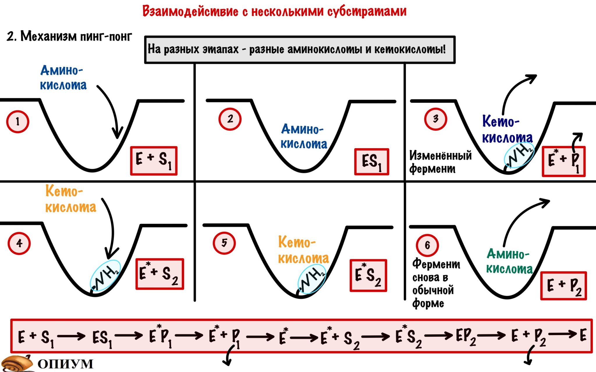 Ферменты горячая схема осахаривания