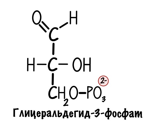 Глицеральдегид-3-фосфат 
