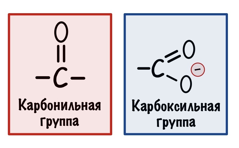 Карбоксильная и карбонильная группы в цикле Кребса
