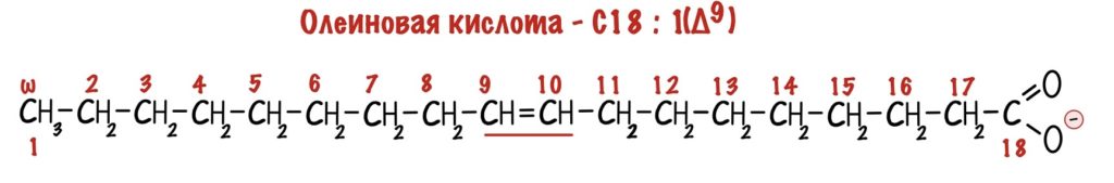 Жирные кислоты - нумерация от омега-атома